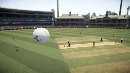 Don Bradman Cricket 17 PC Game in USB - Cricket 17